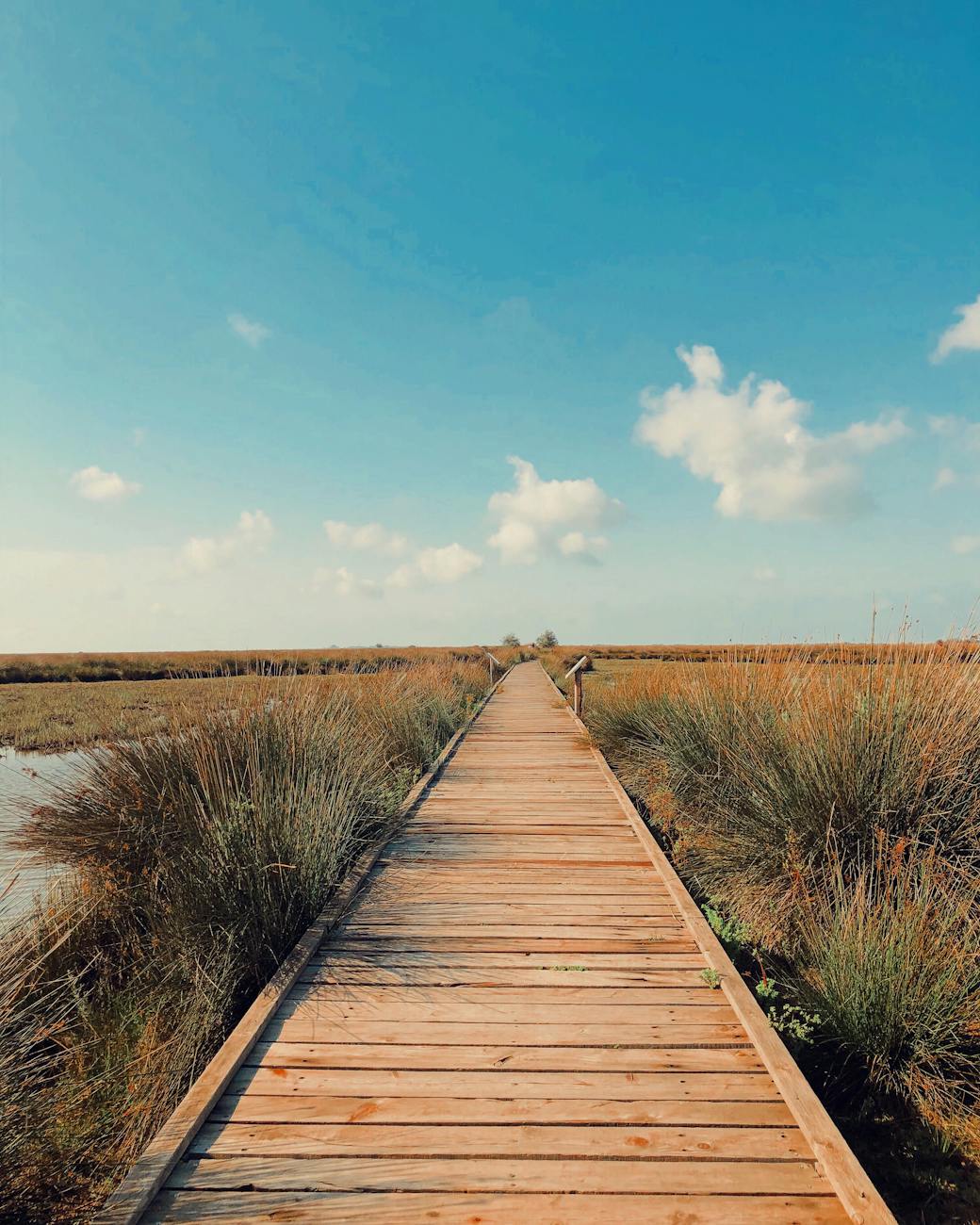 49 – Amnésie des Lois Universelles 🎬